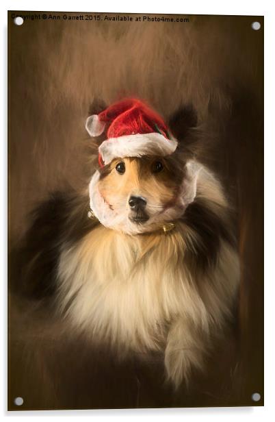 Christmas Sheltie Acrylic by Ann Garrett