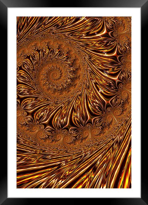 Gold Brocade Framed Mounted Print by Steve Purnell