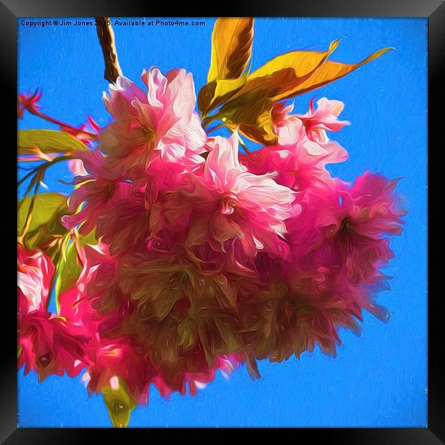  Artistic Cherry Blossom Framed Print by Jim Jones