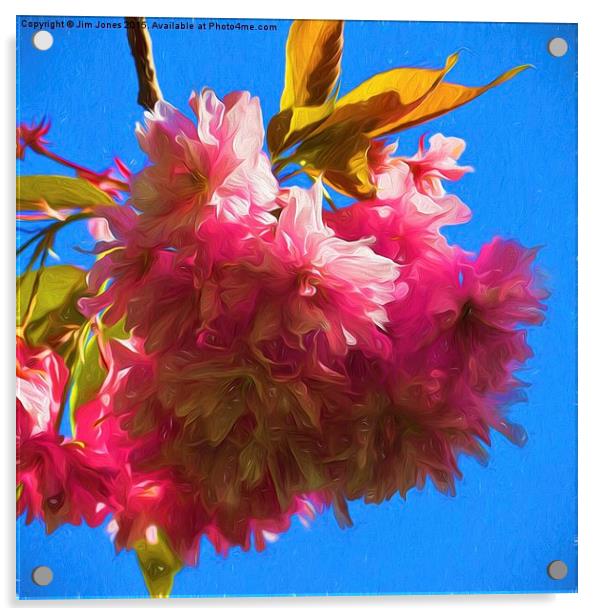  Artistic Cherry Blossom Acrylic by Jim Jones
