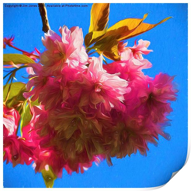  Artistic Cherry Blossom Print by Jim Jones