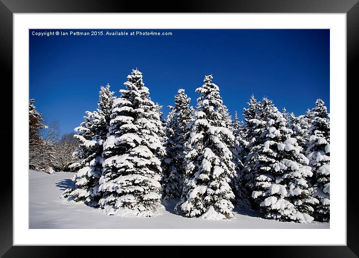  Let it Snow Framed Mounted Print by Ian Pettman