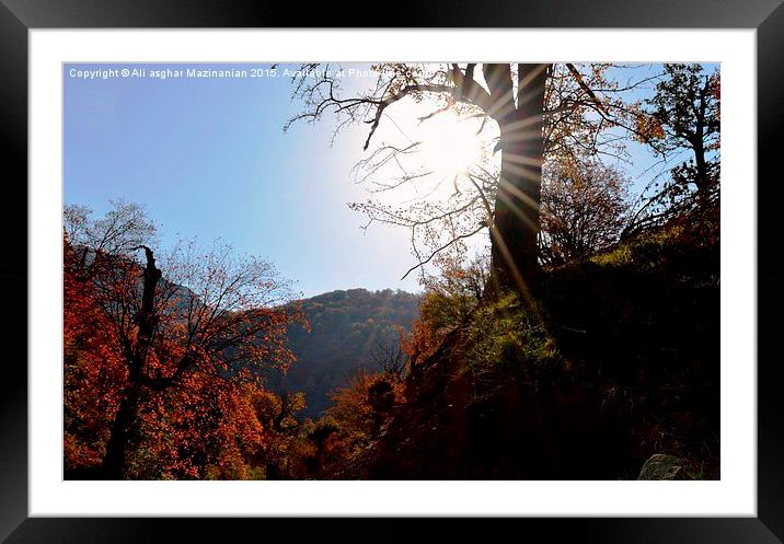 Sunrise in Autumn , Framed Mounted Print by Ali asghar Mazinanian