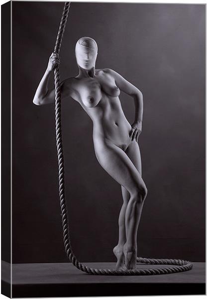 Nude with rope. Canvas Print by David Hare