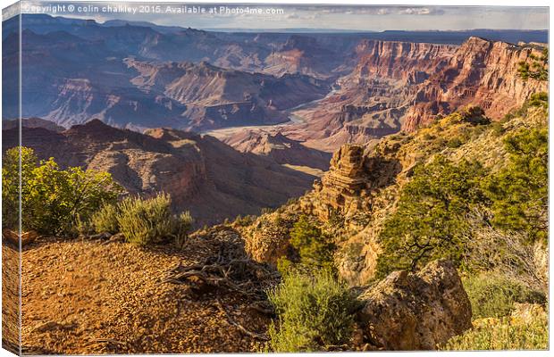  Sunset in the Grand Canyon - Southern Rim Canvas Print by colin chalkley