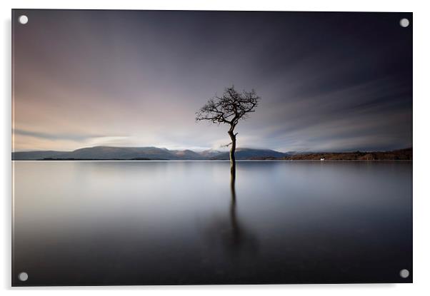 Solitary Tree  Acrylic by Grant Glendinning