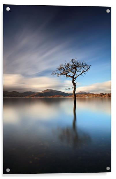  Milarrochy Bay Tree Acrylic by Grant Glendinning