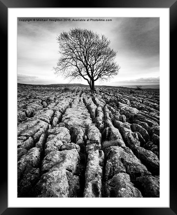  Malham Ash Framed Mounted Print by Michael Houghton