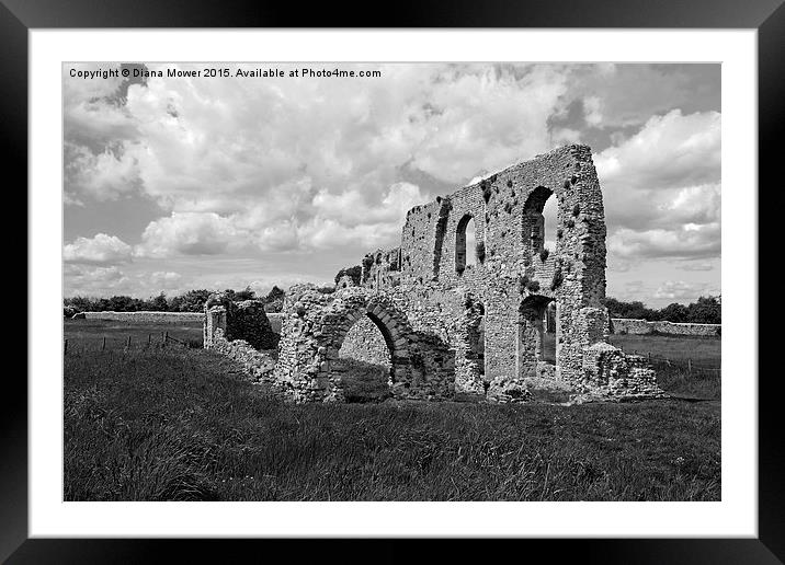 Greyfriars Priory  Framed Mounted Print by Diana Mower