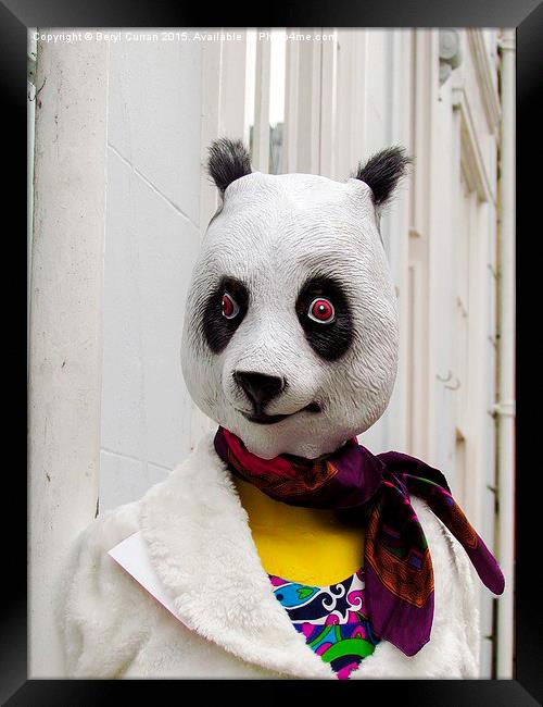 Groovy Panda Shops in Truro Framed Print by Beryl Curran