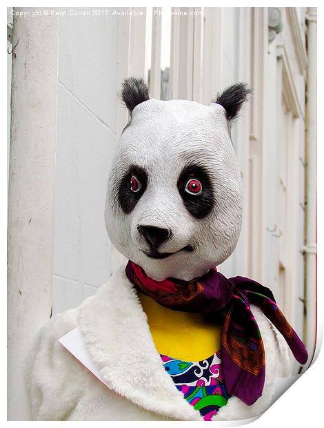 Groovy Panda Shops in Truro Print by Beryl Curran