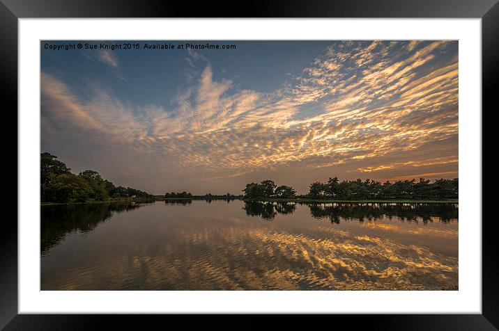  Reflections of Hatchet Pond,New Forest Framed Mounted Print by Sue Knight