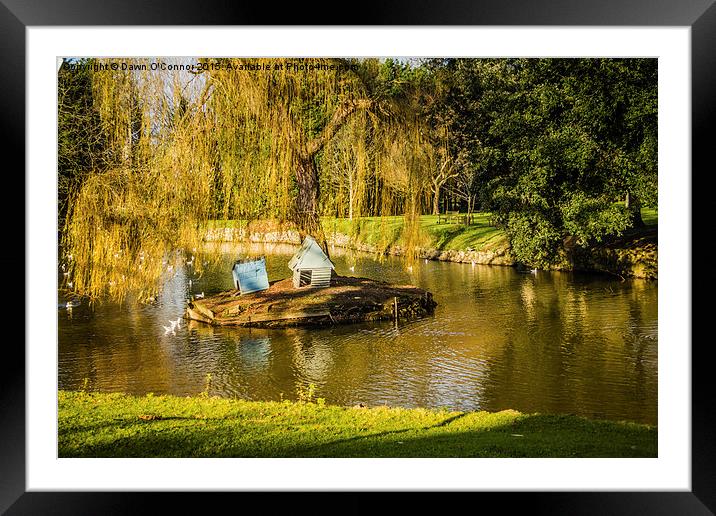 Winter Walk in Aylesford Kent UK Framed Mounted Print by Dawn O'Connor