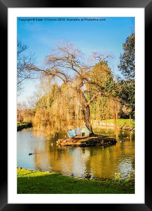 Winter Walk in Aylesford Kent UK Framed Mounted Print by Dawn O'Connor