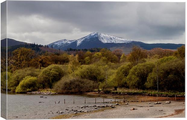 Derwentwater with Grisedale Pike Canvas Print by Roger Green