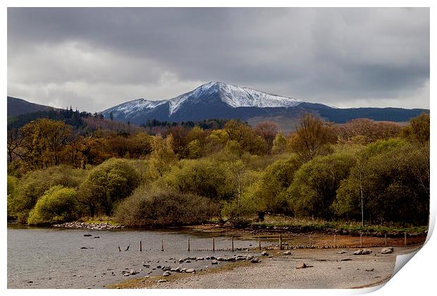 Derwentwater with Grisedale Pike Print by Roger Green