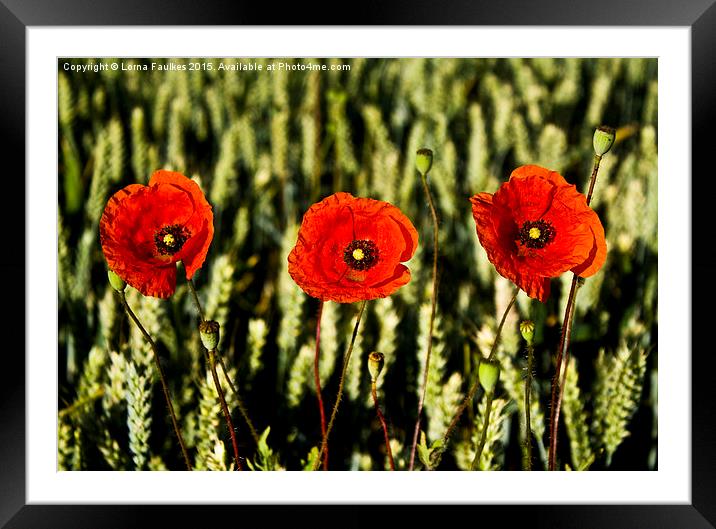 Three's A Crowd  Framed Mounted Print by Lorna Faulkes