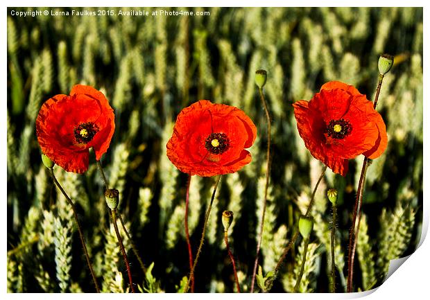 Three's A Crowd  Print by Lorna Faulkes