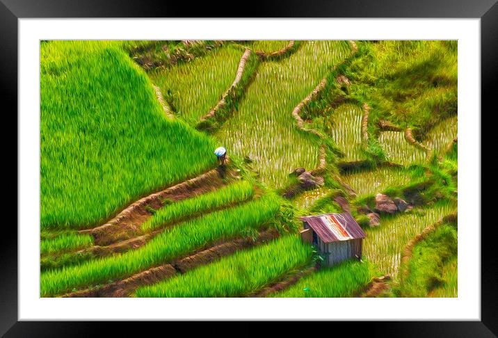  Rice Fields Banaue Framed Mounted Print by Clive Eariss