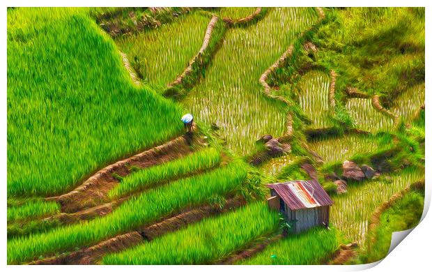  Rice Fields Banaue Print by Clive Eariss