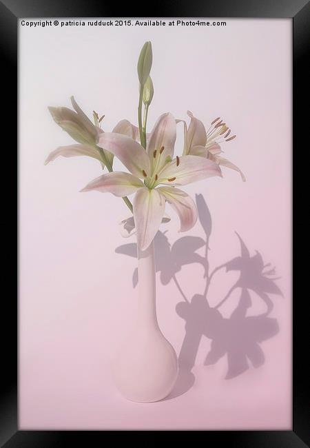  Shadows of  Lily Framed Print by patricia rudduck