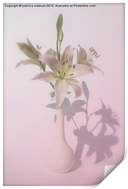  Shadows of  Lily Print by patricia rudduck