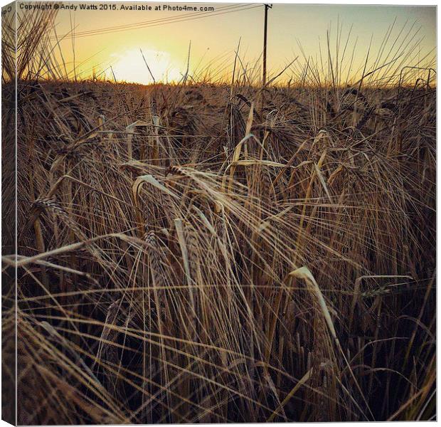  Harvest Sunset Canvas Print by Andy Watts