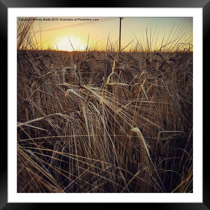  Harvest Sunset Framed Mounted Print by Andy Watts