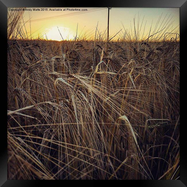  Harvest Sunset Framed Print by Andy Watts