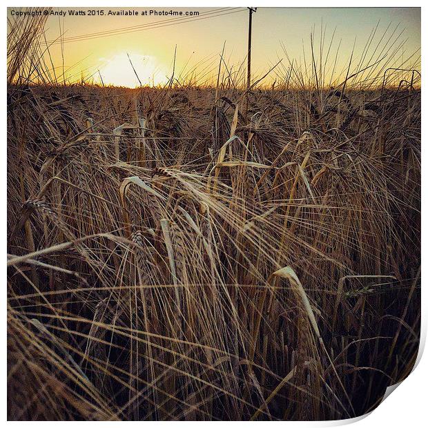  Harvest Sunset Print by Andy Watts