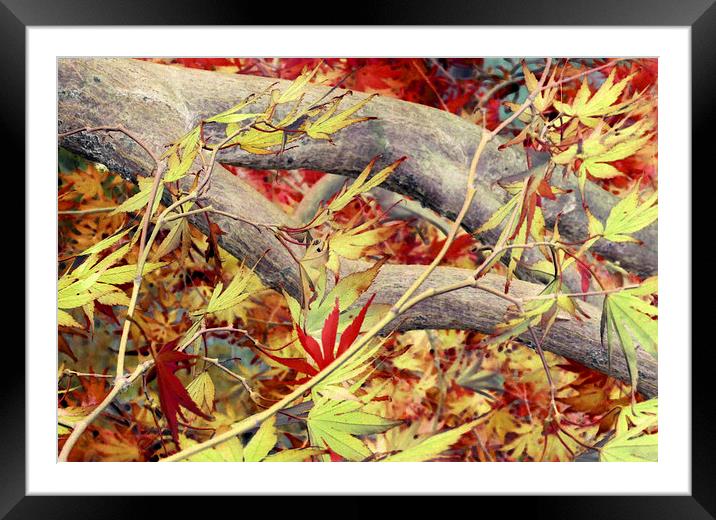 fall fantasy Framed Mounted Print by Heather Newton
