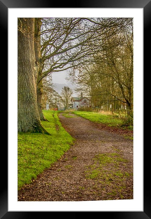  Winding Lane Framed Mounted Print by Images of Devon
