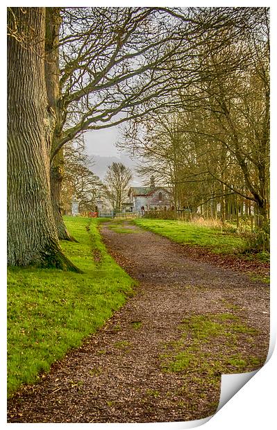  Winding Lane Print by Images of Devon