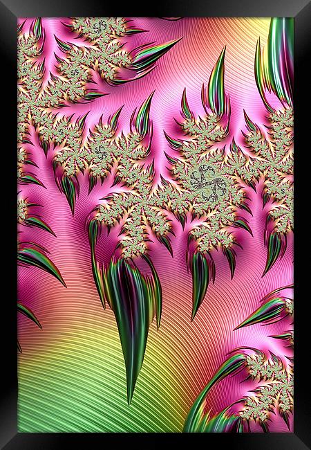Rainbow Thorns Framed Print by Steve Purnell