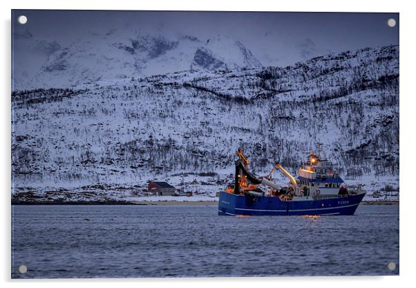 Fishing in a Fjord, Tromso, Norway Acrylic by Mark Llewellyn