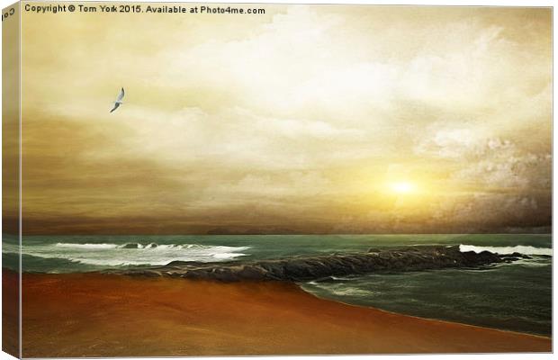 An Ocean Breeze Canvas Print by Tom York