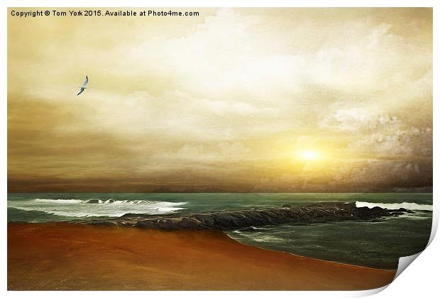 An Ocean Breeze Print by Tom York