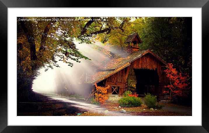  Cabin in the woods Framed Mounted Print by Derrick Fox Lomax