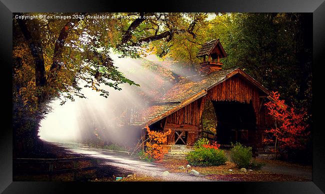  Cabin in the woods Framed Print by Derrick Fox Lomax