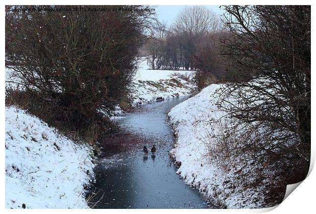  FROZEN STREAM Print by andrew saxton