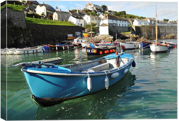  Coverack Harbour, Cornwall Canvas Print by Brian Pierce