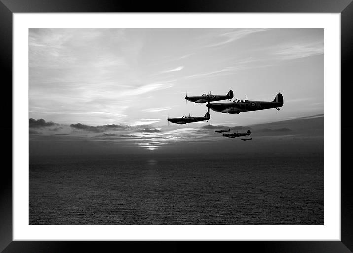 Sunset sentinels black and white version Framed Mounted Print by Gary Eason