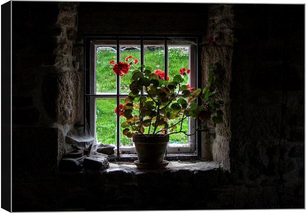  Levant Engine House Window, Cornwall Canvas Print by Brian Pierce