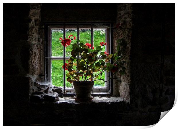  Levant Engine House Window, Cornwall Print by Brian Pierce