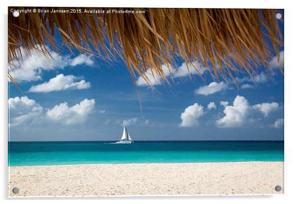 Sailing in Aruba  Acrylic by Brian Jannsen