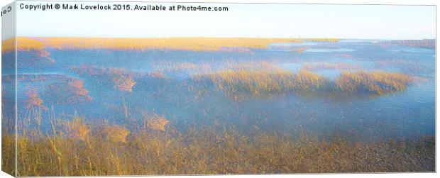  A walk on the marshes Canvas Print by Mark Lovelock