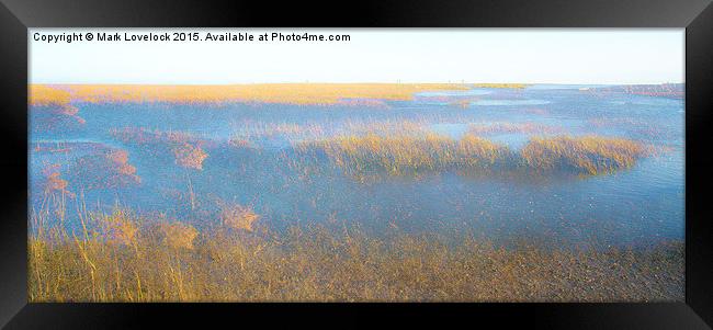 A walk on the marshes Framed Print by Mark Lovelock