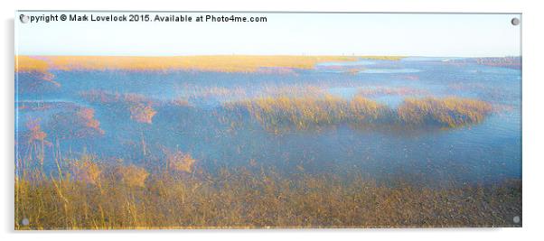  A walk on the marshes Acrylic by Mark Lovelock