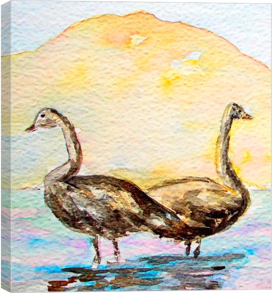  2 swans on the african continent  Canvas Print by dale rys (LP)