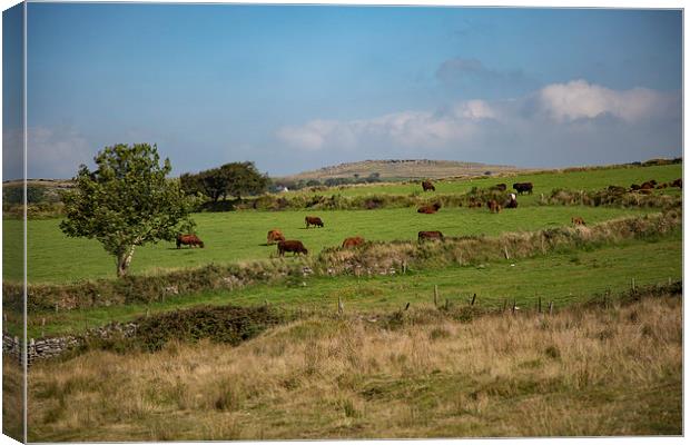 The view from Nampara, Bodmin Moor, Cornwall Canvas Print by Brian Pierce